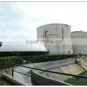 Biogas Plant Gas Storage Tank & on the top of fermentation cylinder