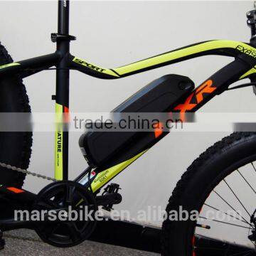 750W Fat Tire Snow Beach Electric Bike