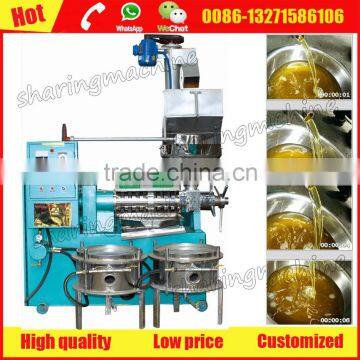 Professional cotton seed cake oil extractor machinery with low investment