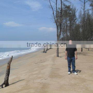 $280000 per Accara means 40000 sqf in beach Land