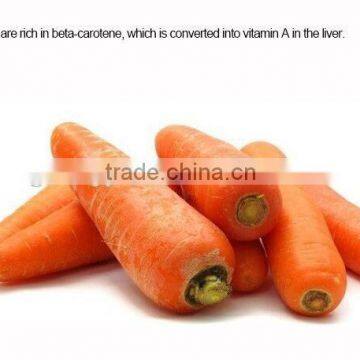 Frozen Fresh Varied Carrot Diced Products photo-5