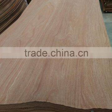 veneer for India,natural BUR wood veneer thickness size 3x7 3x6