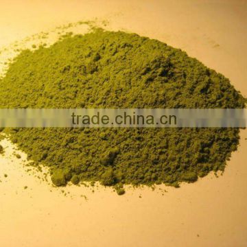 High quality Damiana Leaf extract powder