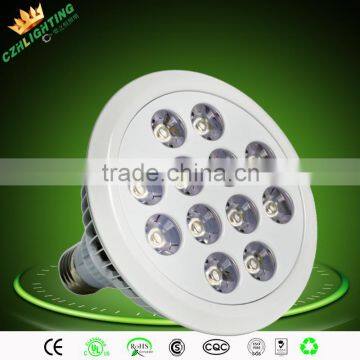 30,45,60 angle LED Par 38, warm and white 5~15W Par 38 LED light