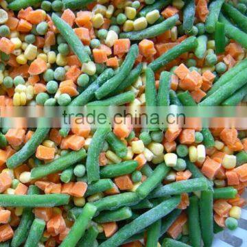 China manufacture high quality frozen vegetable organic