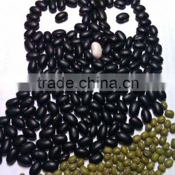 Chinese Small Black Kidney Bean( 2011 crop, hps, grade 1. heilongjiang origin)