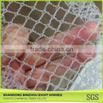 China Hot-Selling Anti Bird Mesh