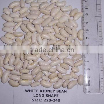 2014 best food long light white beans