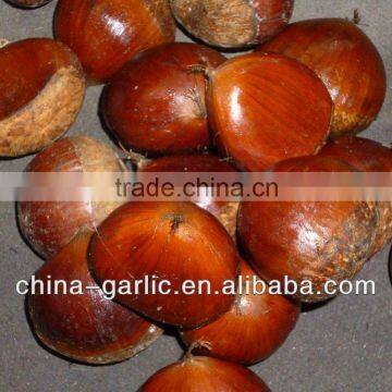 2013 China Water Chestnut for sale