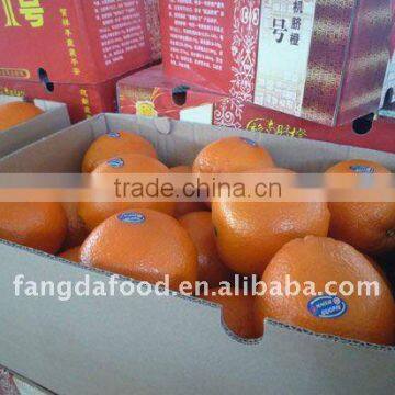 Chinese Navel orange/Fresh sweet navel orange