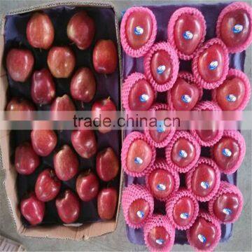 2014 Red Delicious Apple Chinese Huaniu Apple