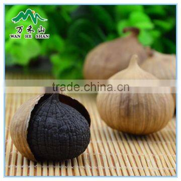 Black Garlic Pill Material Chinese Factory Supplying Black Garlic