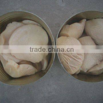 China caned bailing mushroom hot sales