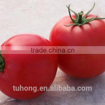 Early Maturity High Disease Resisitant Pink Red Tomato Seeds and plants