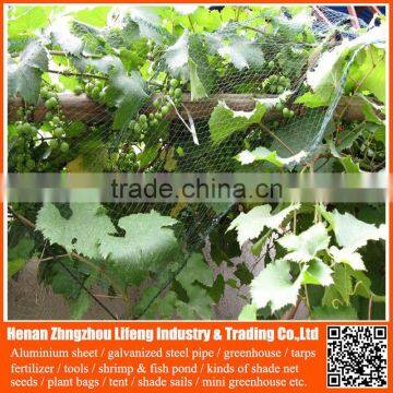 hdpe greenhouse anti bird net , plastic green bird control screen mesh net , nylon agricultural bird netting for sale