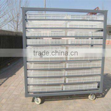 Incubator egg trolly and hatcher trolly