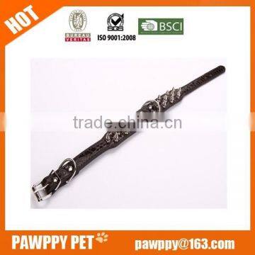 Leather dog leash and collar with rivet