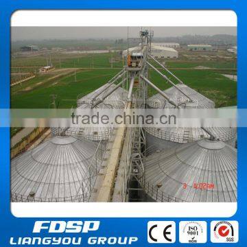 Hot Sale Jiangsu Liangyou Steel Silo/Farm Silo With Large Capacity