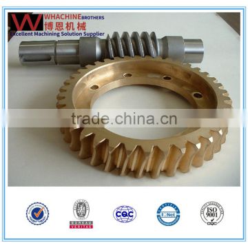 custom gear worm made by whachinebrothers ltd.