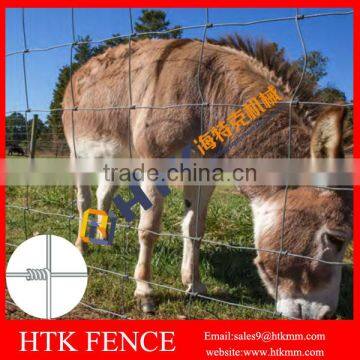 Hot Sale Hinge Joint Livestock Field Fence/Grassland Farm Fencing