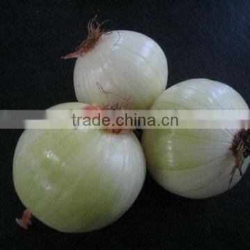 hot sale Onion Skin Peeling Machine in promotion