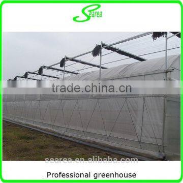 Easy Assembled Commercial Agricultural Tunnel Greenhouse photo-5
