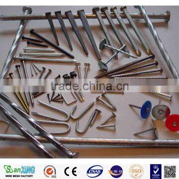 Iron Nail 1''-6''/ Cheap Price Iron Wire Nail /iron Nail Common Nail photo-4