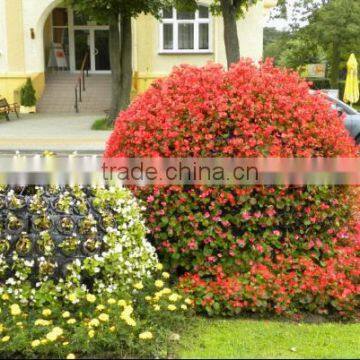 Big Outdoor Tall Plastic Decorative Flower Pots photo-2