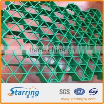 Plastic Paving Grid photo-4
