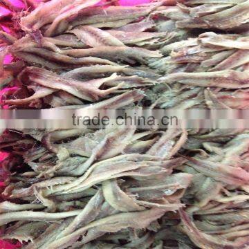 Vacuum Salted Anchovy Fillet photo-5