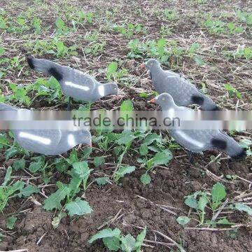 PIGEON DECOY BIRD PAINTED SHELL HIGH QUALITY photo-3