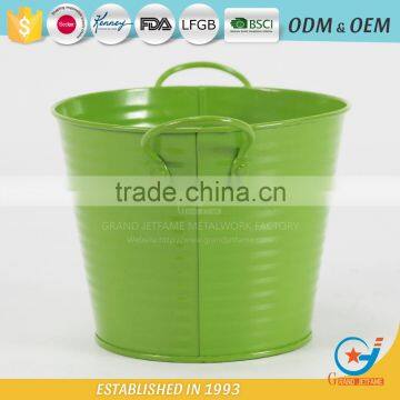 Iron and Zinc Unique Embossing Powder Coated Flowering Plants in Pots Decoration Garden Flower Pot