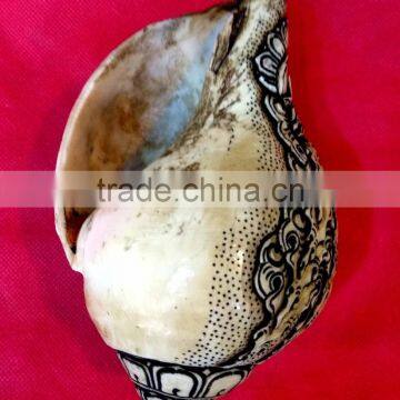 Best Selling White Conch Bhairav Crafted Shankha photo-5