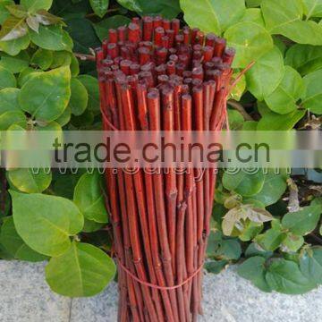 Dyed Red Bamboo Sticks for Garden&agriculture photo-2