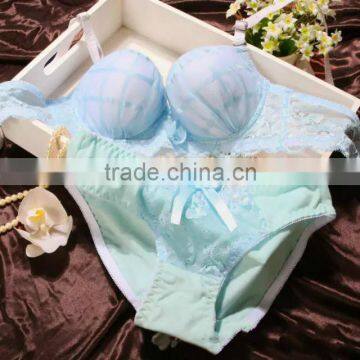 Western Style Underwear Suspender Beautiful Sexy Bra Design photo-2