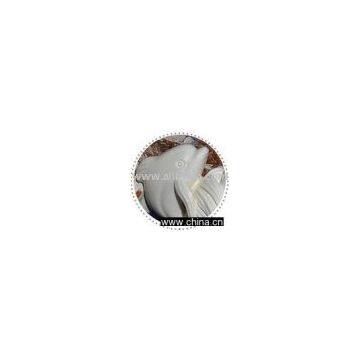Dolphin Collectibles