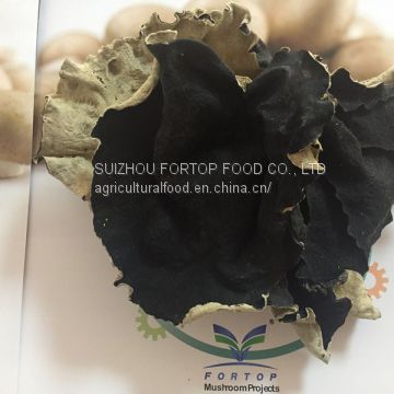 Factory Price Thick Dried White Back Black Fungus Mushroom Whole (5CM ABOVE) Wood Ear