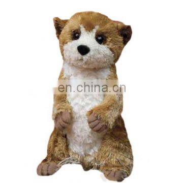 Cute and fat lovely face 10inch Meerkat plush toy