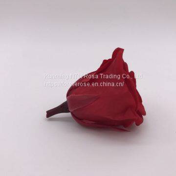 High Quality Timeless Preserved Flower to Make Gorgeous Flower Gifts photo-2