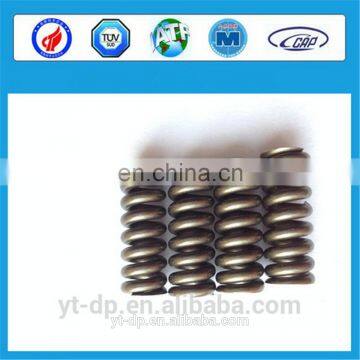 Diesel Fuel Injector Spring 2434619017 2434614027 with Best Price