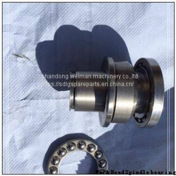 Work Head Spindle bearing