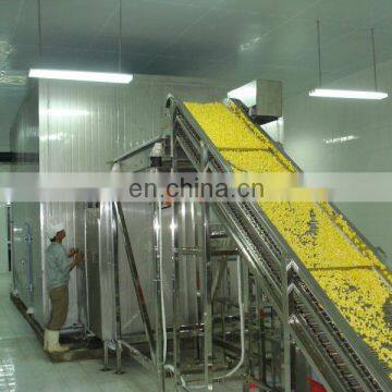 Low Price IQF Spiral Freezer Food Processing Machine photo-5