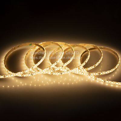 Waterproof outdoor swimming pool light warm white LED Strip Light