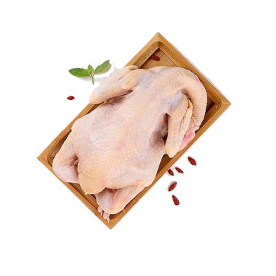 Hot Sale Low Price Frozen Whole Hen Chicken For Sale