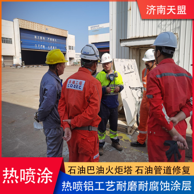 Tianmeng Hot Spray Processing Hot Spray Aluminum Process Wear Resistant and Anti Corrosion Surface Treatment Adjustable Hardness photo-3