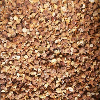 Dehydrated Dried Agaricus Blazei Murrill Mushroom