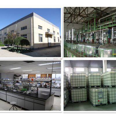 Factory Price Skin Care Polyquaternium-39/CAS 25136-75-8