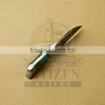 CITIZEN KNIVES, BEAUTIFUL CUSTOM HAND MADE DAMASCUS STEEL SKINNER KNIFE photo-5