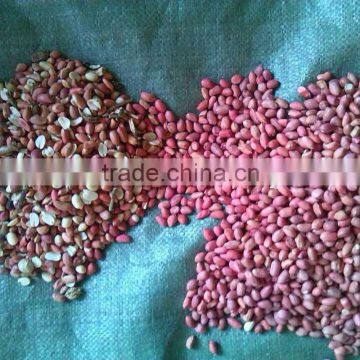 Food Color Sorting Machine From Hefei Angelon Electronics photo-4