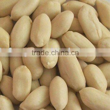 Blached Peanut Kernel